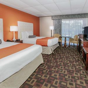 Double Room Two Double Beds Non-Smoking